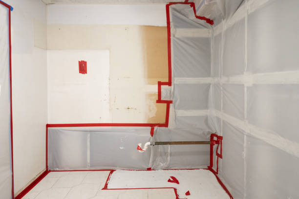 Best Comprehensive Air Testing for Mold Contaminants  in Ohkay Owingeh, NM