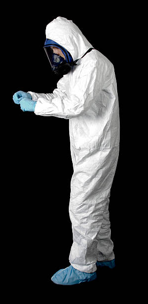 Trusted Ohkay Owingeh, NM Mold Removal Experts