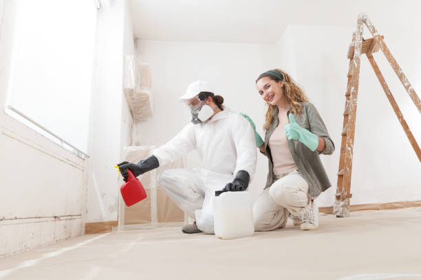 Asbestos and Lead Testing During Mold Inspection in Ohkay Owingeh, NM